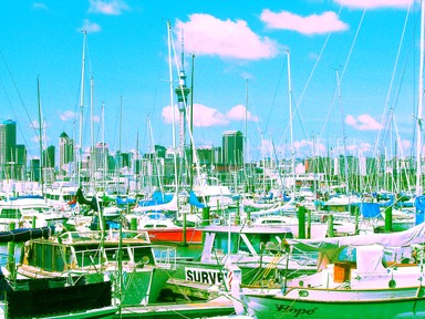  Westhaven Harbour